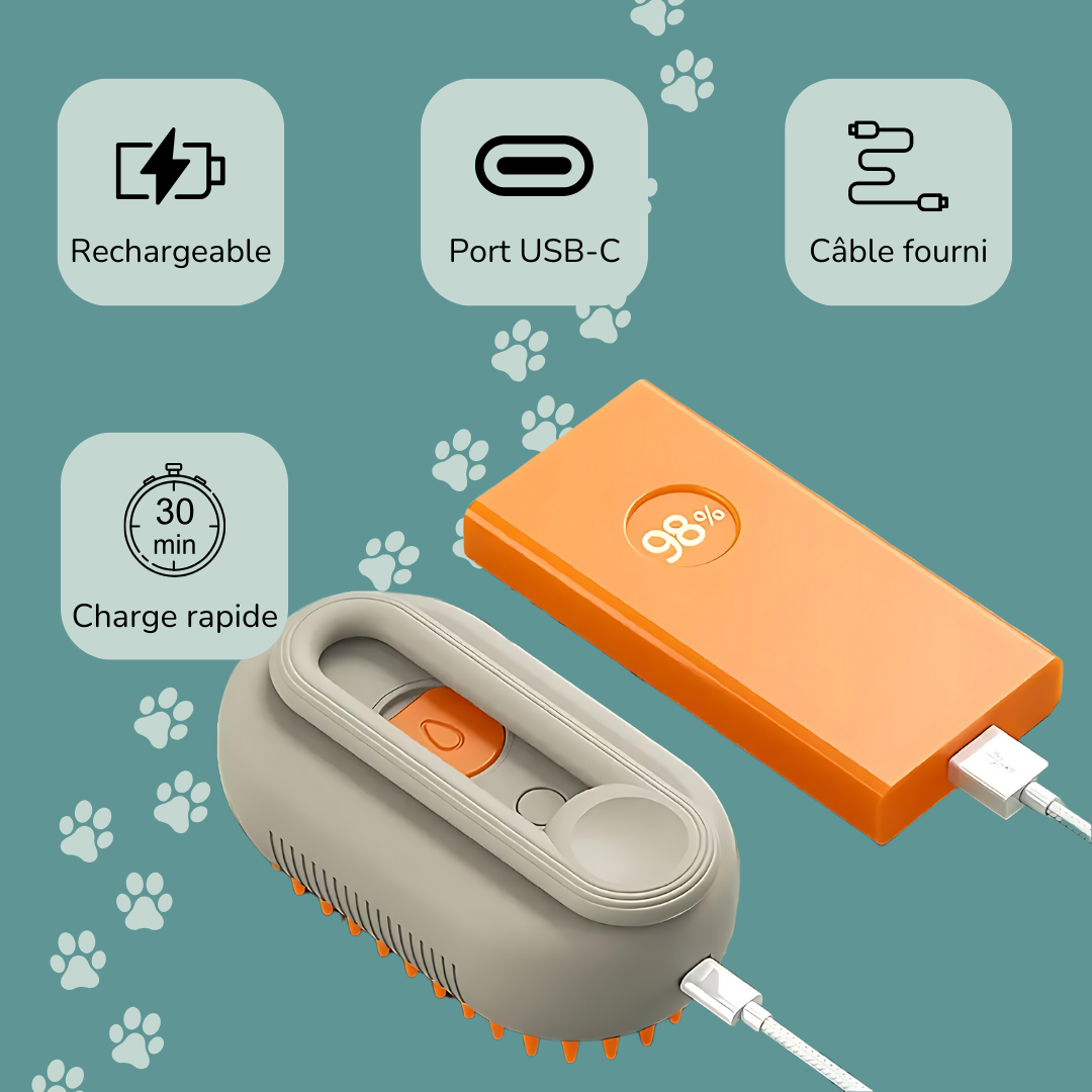 Brosse vapeur anti-poils