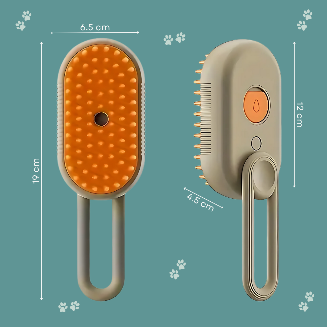 Brosse vapeur anti-poils