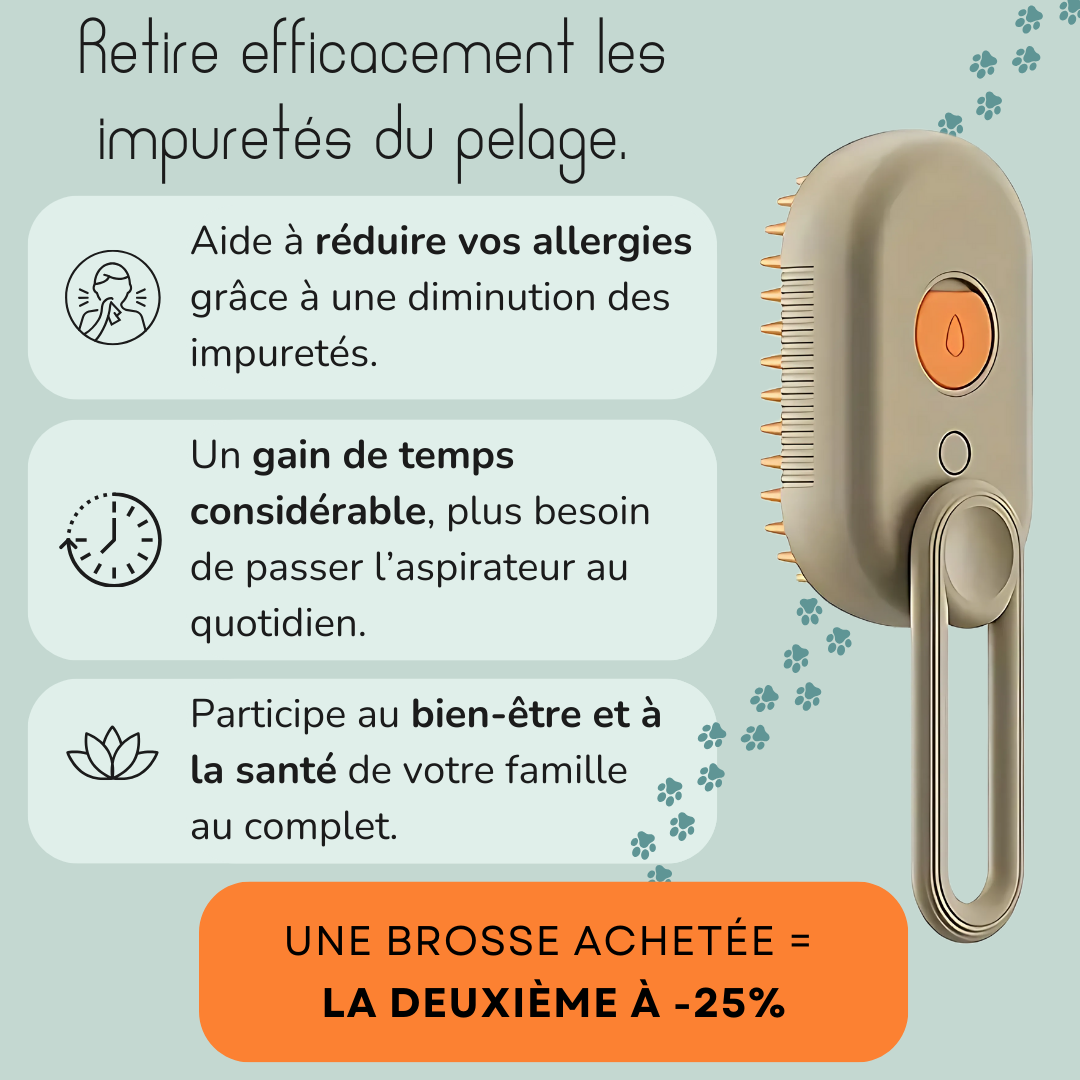 Brosse vapeur anti-poils