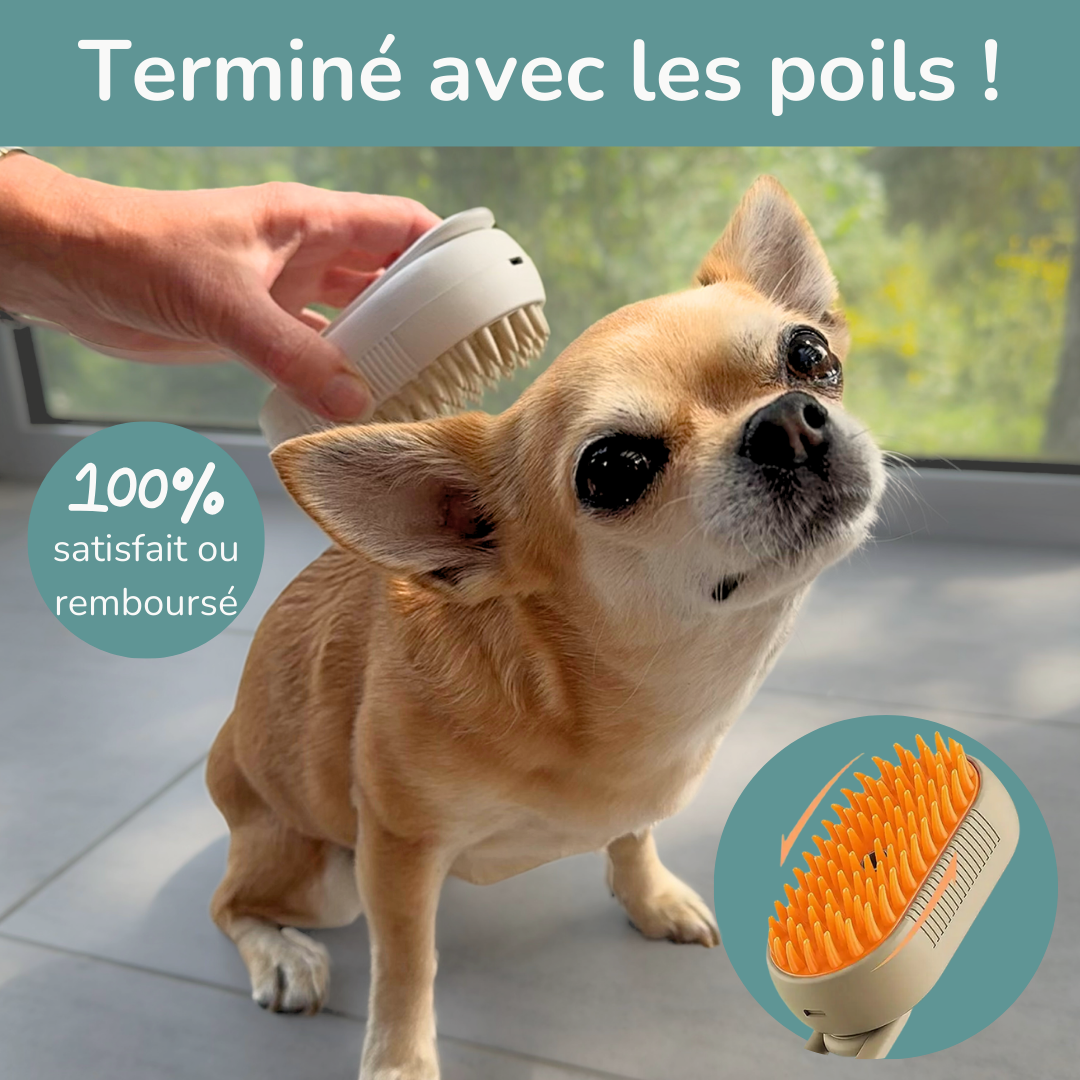Brosse vapeur anti-poils