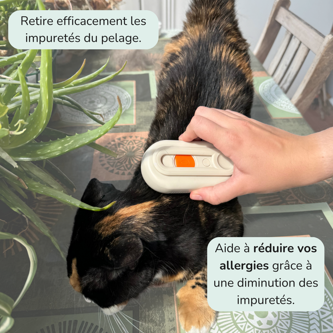 Brosse vapeur anti-poils