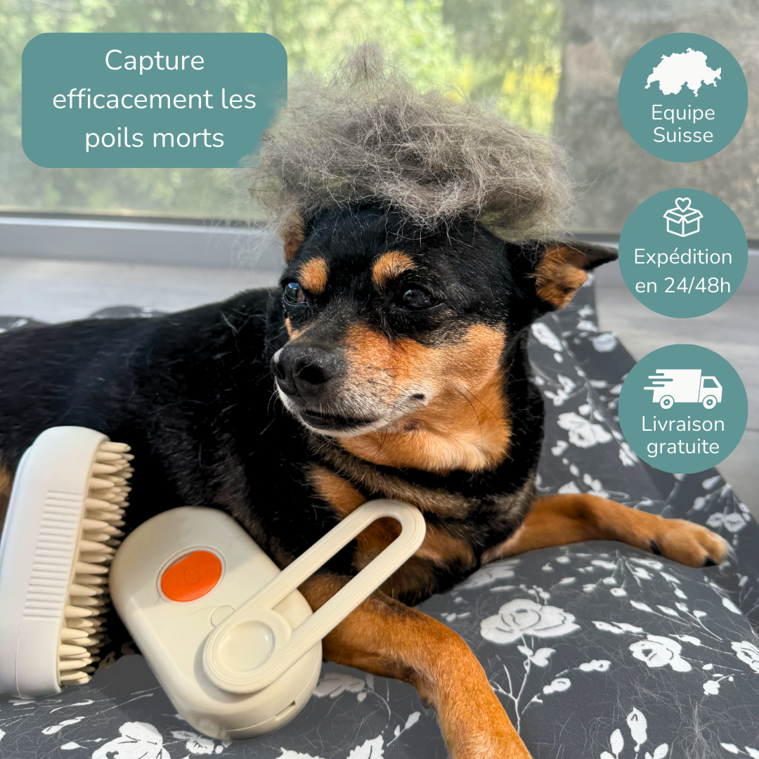 Brosse vapeur anti-poils
