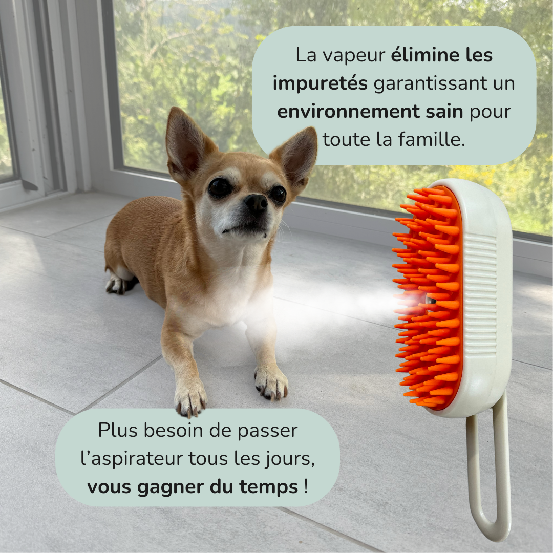 Brosse vapeur anti-poils