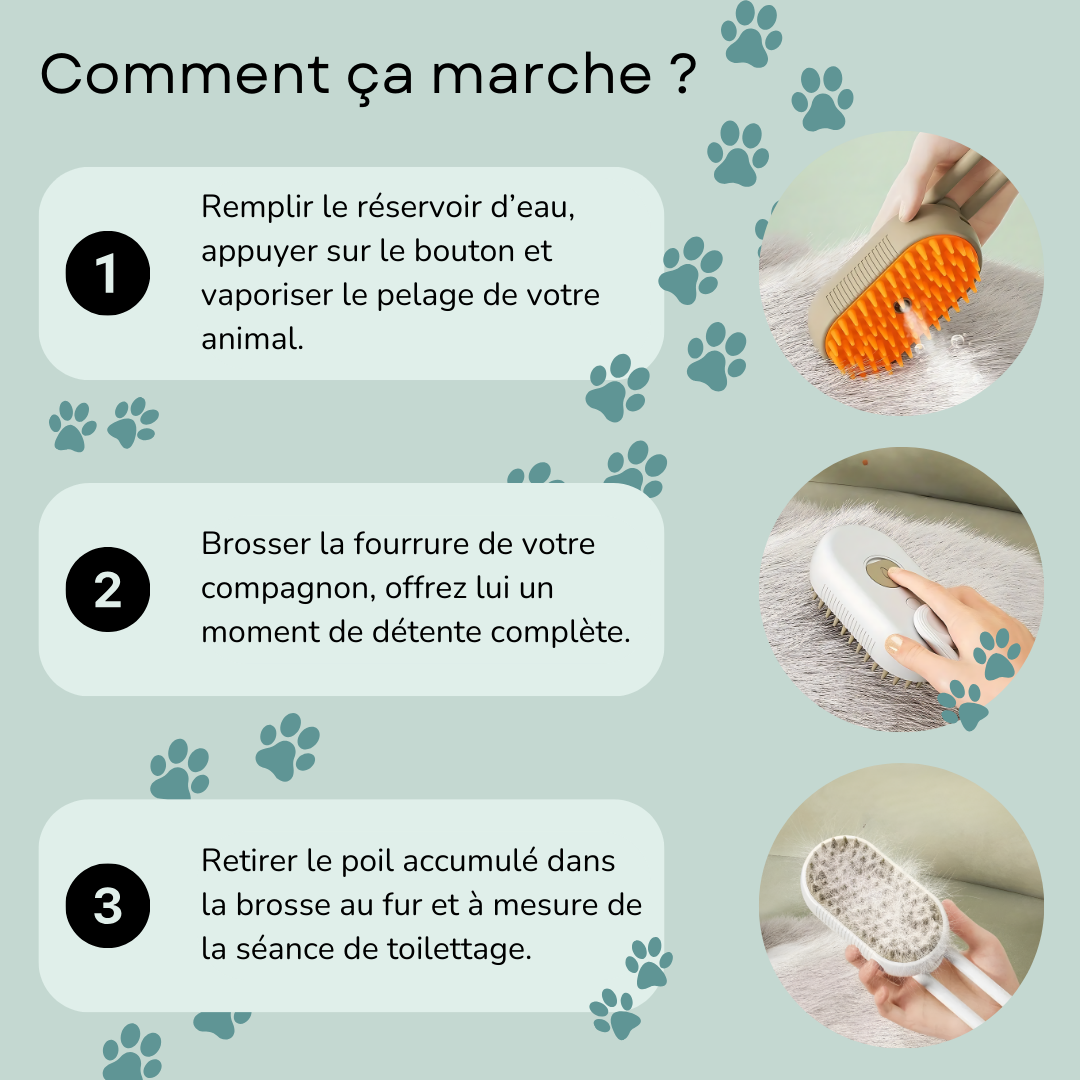 Brosse vapeur anti-poils