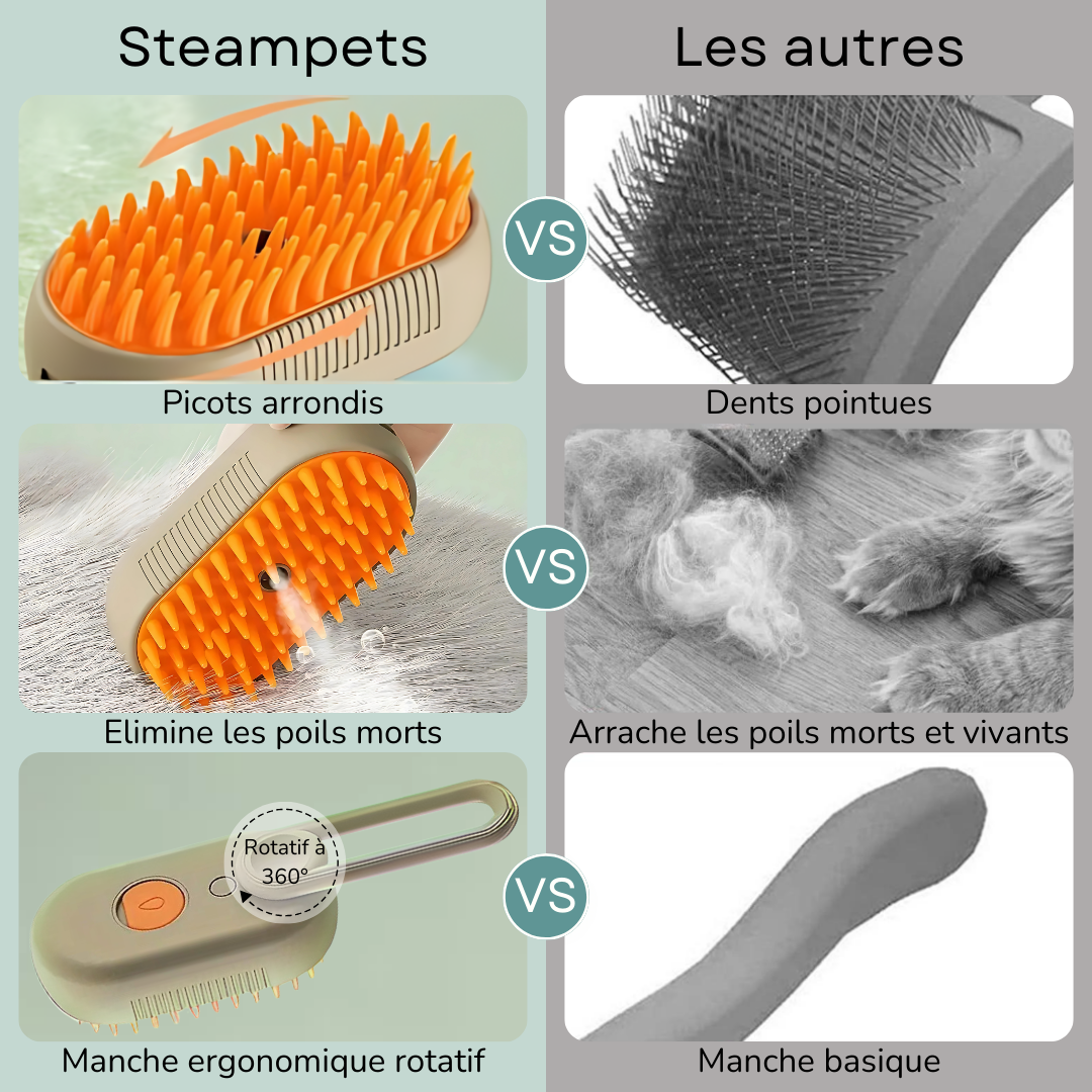 Brosse vapeur anti-poils