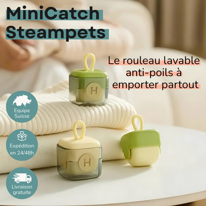 MiniCatch Steampets